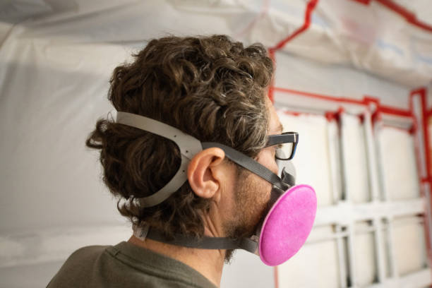 Best Industrial Mold Remediation  in Auburn, NE