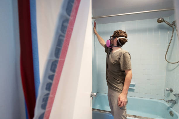 Professional Mold Removal in Auburn, NE