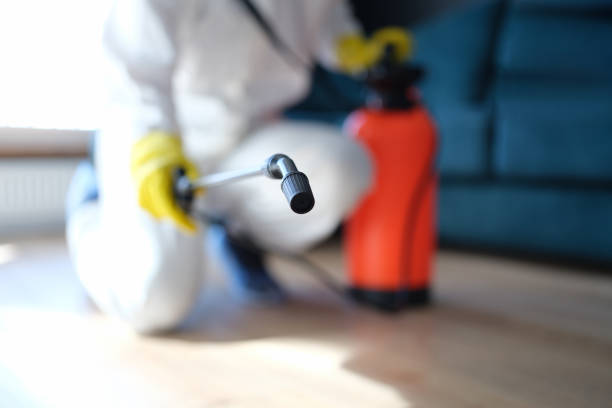 Best Emergency Mold Remediation  in Auburn, NE
