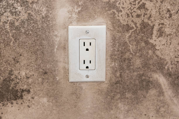 Best Commercial Mold Inspection  in Auburn, NE