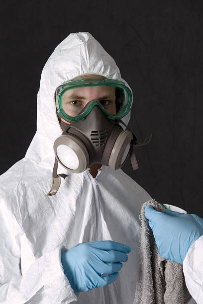 Best Biohazard Mold Removal  in Auburn, NE